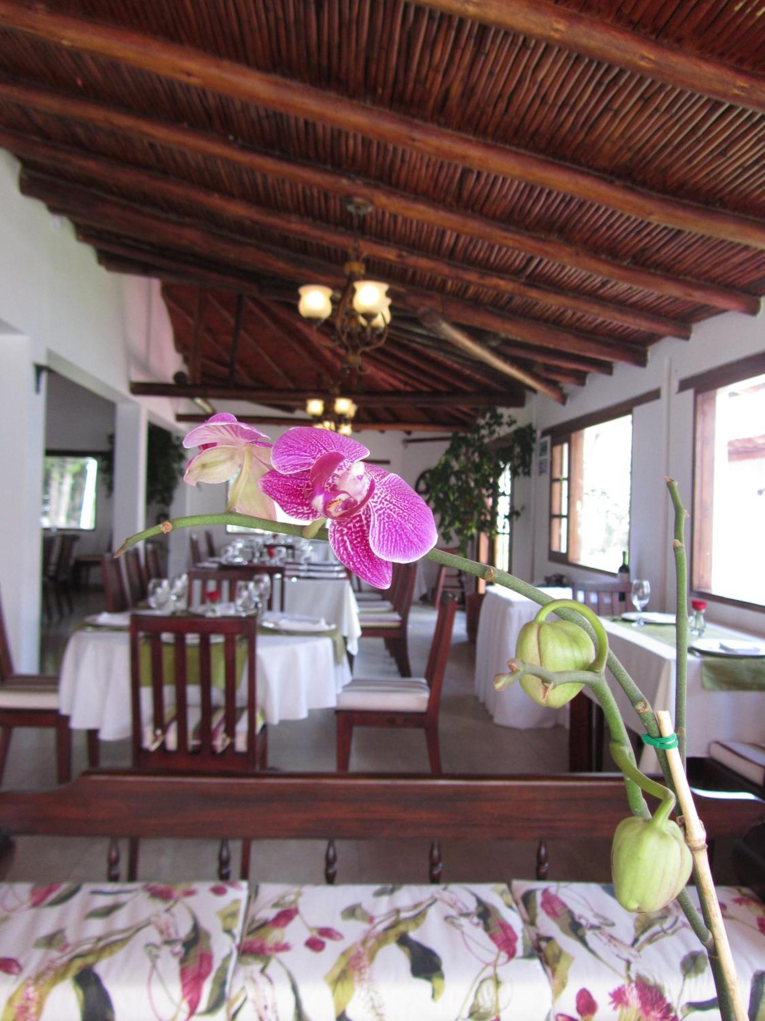 Hotel La Quinta San Andres Ibarra Zewnętrze zdjęcie